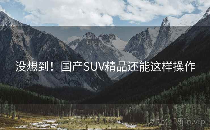 没想到！国产SUV精品还能这样操作