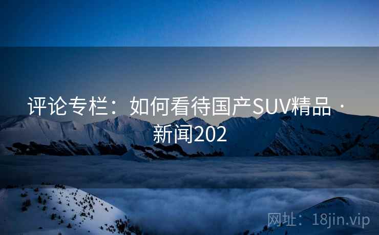 评论专栏：如何看待国产SUV精品 · 新闻202