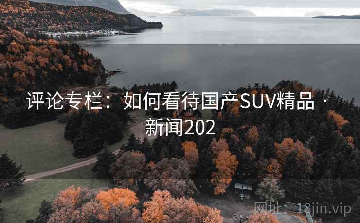 评论专栏：如何看待国产SUV精品 · 新闻202