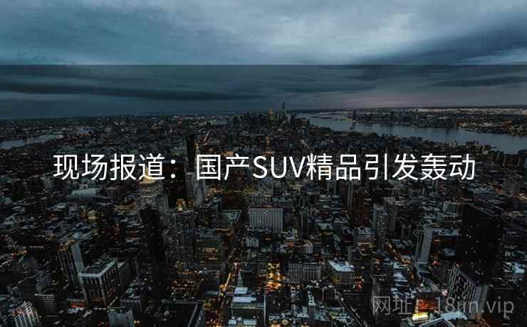 现场报道：国产SUV精品引发轰动