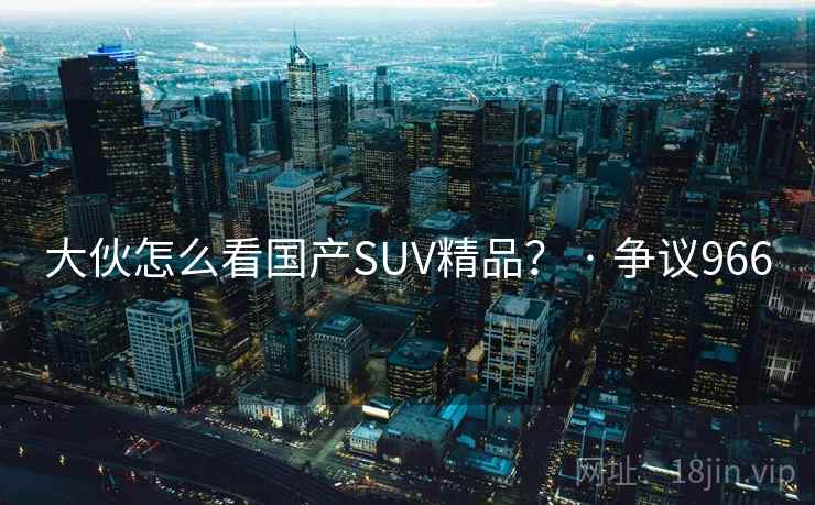 大伙怎么看国产SUV精品？ · 争议966