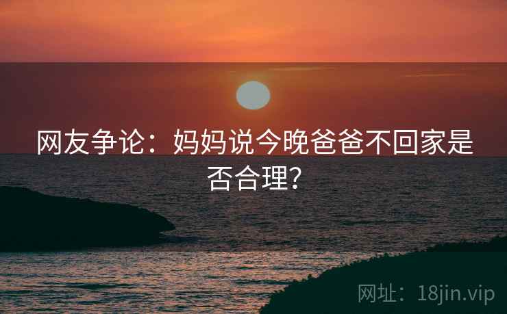 网友争论：妈妈说今晚爸爸不回家是否合理？